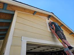 Best Siding Painting and Refinishing  in Barrett, TX